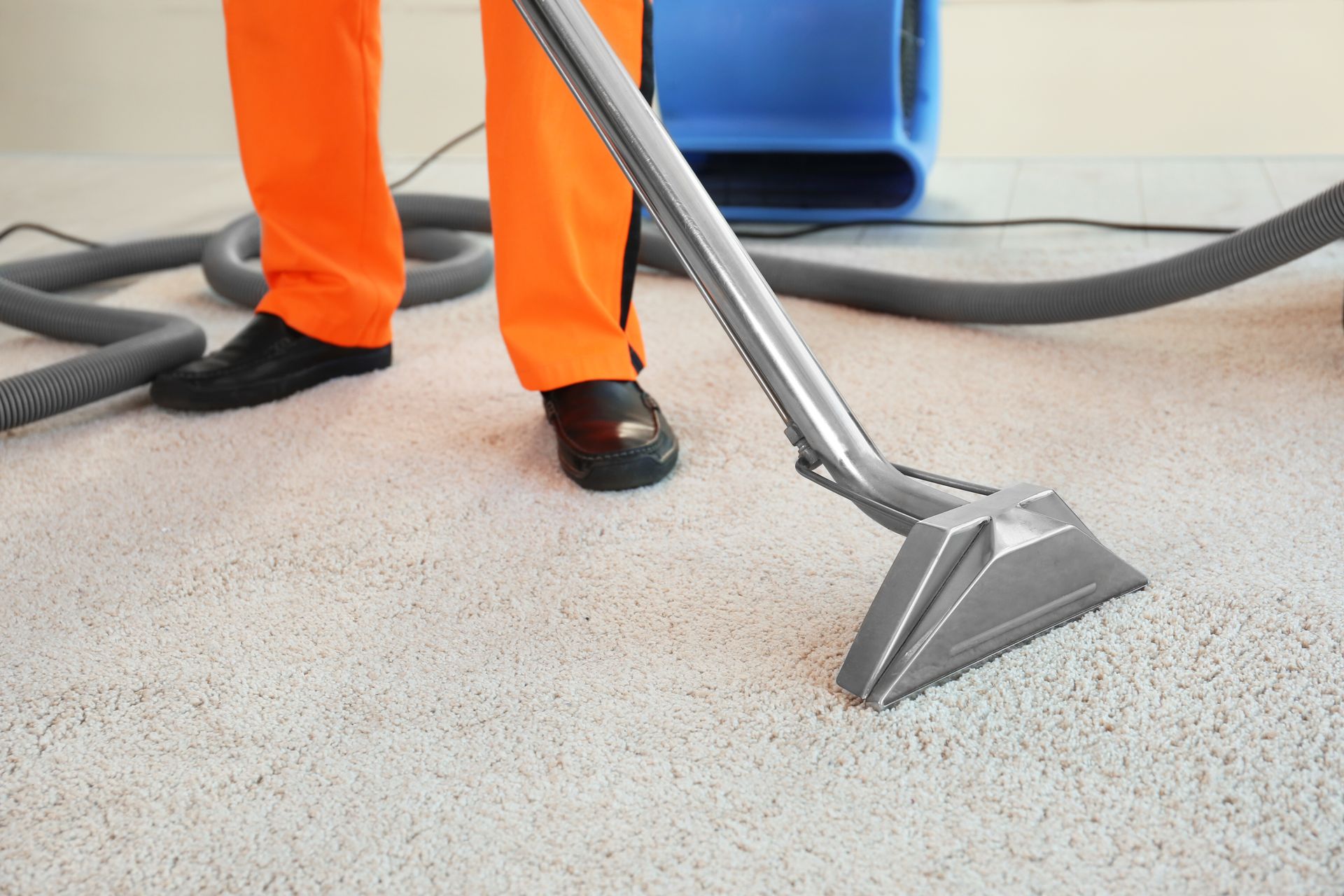 Discover How Routine Carpet Cleaning Services Can Benefit Your Home