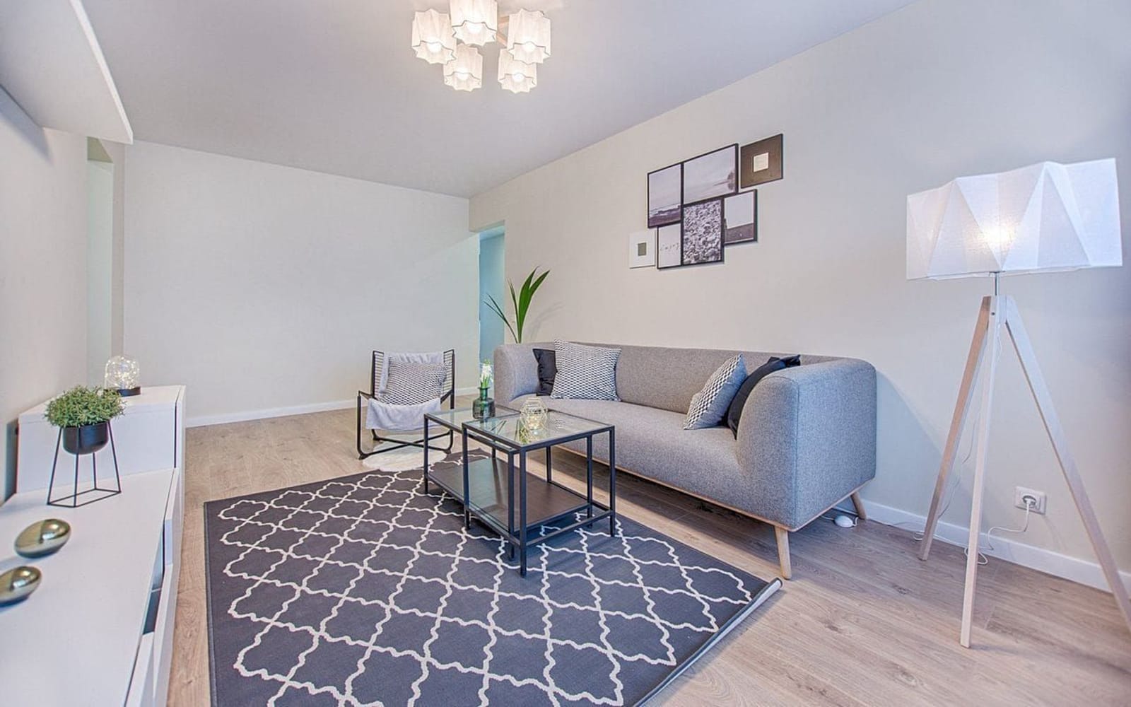 Professional carpet and home cleaning in Capitola, CA by Doctor Clean